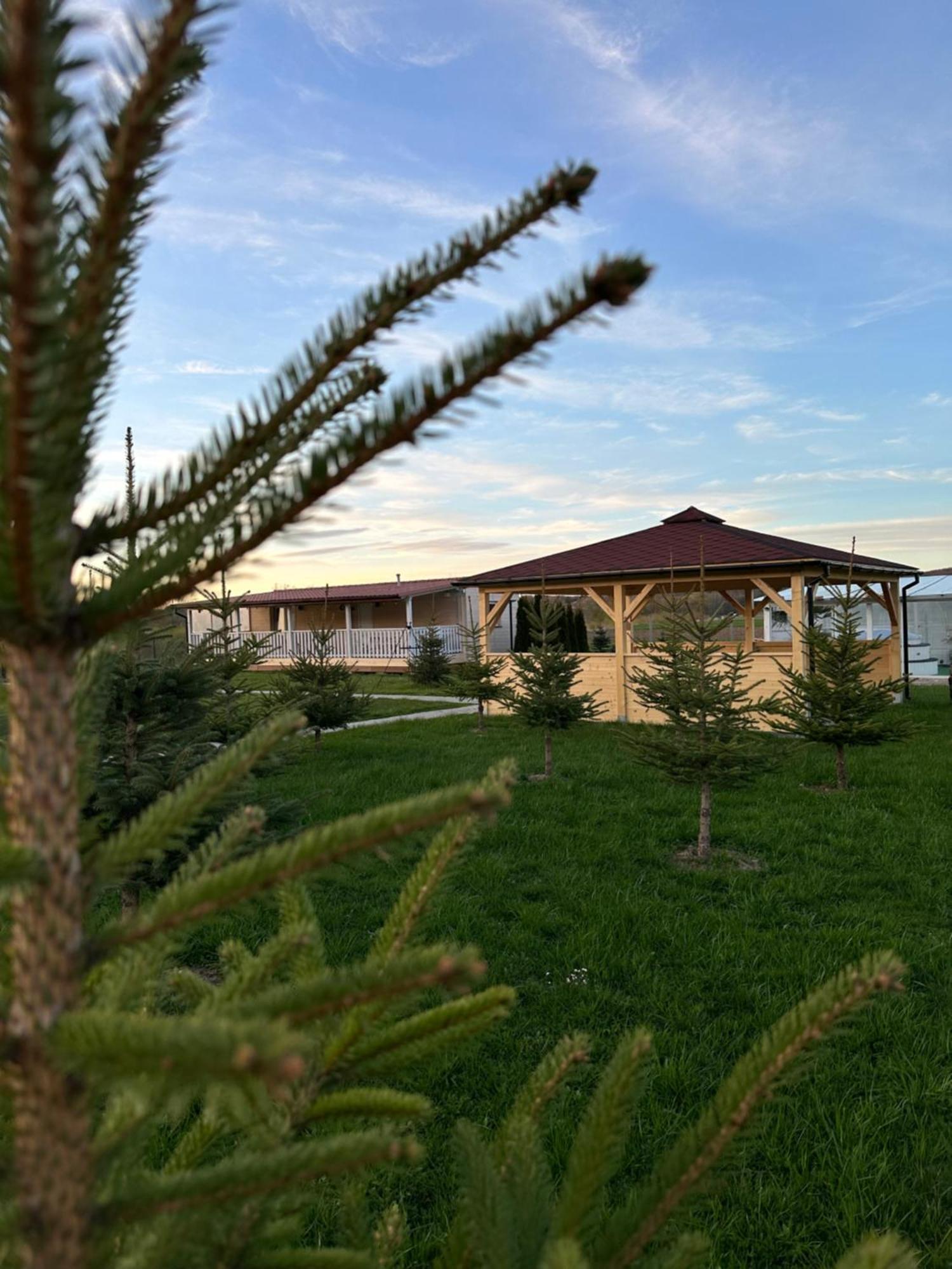 Domki Nad Sanem Bachorzec Dubiecko Exterior foto